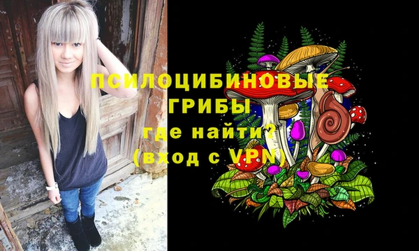 ALPHA PVP Алексеевка