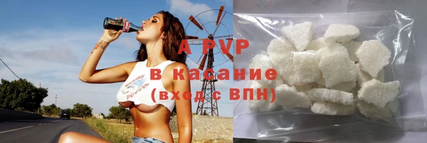 хмурый Пересвет