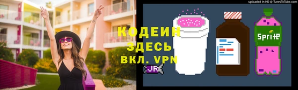 хмурый Пересвет
