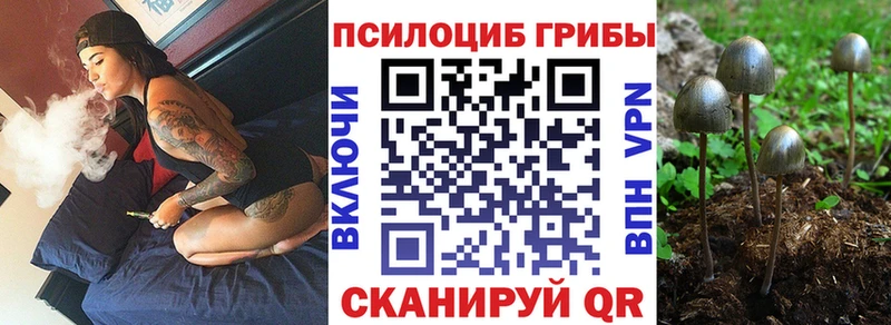 Псилоцибиновые грибы мухоморы  мориарти состав  kraken как зайти  Петровск-Забайкальский  цена наркотик 